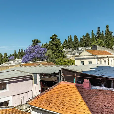 Апартаменты Comfy 3 Bedroom Campo De Ourique Лиссабон