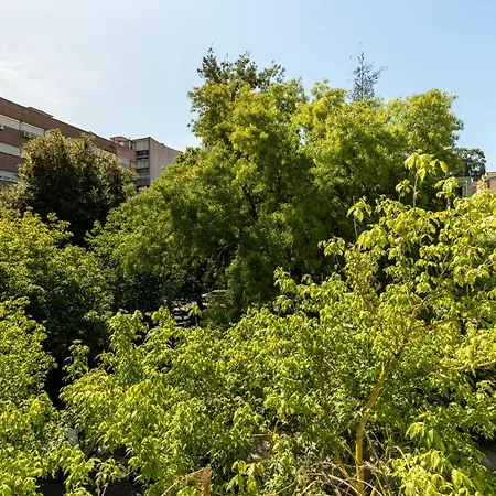 Comfy 3 Bedroom Campo De Ourique Апартаменты